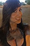Catanzaro Trans Escort Anna Hickhiman Pornostar 320 01 28 239 foto selfie 8