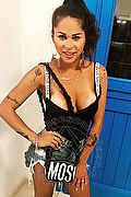 Milano Trans Escort Bruna Dantas 388 64 26 552 foto selfie 18