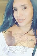 Siena Trans Sammy 344 43 24 342 foto selfie 1