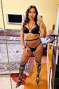 Alba Adriatica Trans Emme 333 16 48 972 foto selfie 86