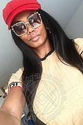 Roma Trans Paula Xxl  005511993416077 foto selfie 95