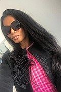 Roma Trans Paula Xxl  005511993416077 foto selfie 77