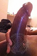 Modena Trans Escort Paula Xxl 351 02 92 802 foto selfie 123
