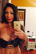 Fabriano Trans Escort Dea Kelvya Pornostar 347 15 38 801 foto selfie 1