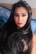 Roma Trans Escort Tiffany Oliveira 371 61 40 791 foto selfie 99