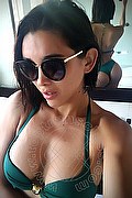 Siena Trans Alessia Logan 380 75 26 793 foto selfie 106
