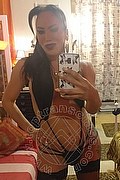 Milano Trans Patrizia Ferraz 329 32 59 852 foto selfie 6
