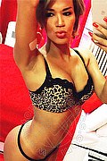 Lucca - Genova - Milano Trans Giselle Oliveira 388 16 17 895 foto selfie 40