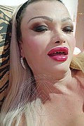 Montecchio Maggiore Trans Escort Luna Park 327 08 34 174 foto selfie 1