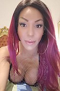 Milano Trans Wanessa Armani 351 80 69 231 foto selfie 57