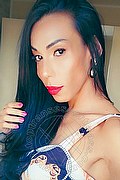 Gallarate Trans Escort Heloisa Top 351 27 89 020 foto selfie 2