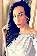Mantova Trans Sinthia 351 27 89 020 foto selfie 22
