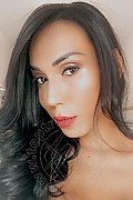 Mantova Trans Sinthia 351 27 89 020 foto selfie 11