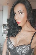 Mantova Trans Sinthia 351 27 89 020 foto selfie 9