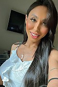 Desenzano Del Garda Trans Escort Thayys Castro 329 72 89 046 foto selfie 54