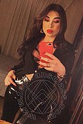 Roma Trans Kettley Lovato 376 13 62 288 foto selfie 6