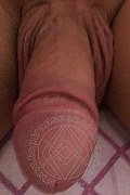 Villa Rosa Trans Escort Giselly  Bella 351 84 61 907 foto selfie 97