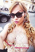 Modena - Savona Trans Brandy 388 38 60 479 foto selfie 85