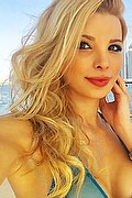 Brescia Trans Escort Baby Secret 338 56 85 826 foto selfie 19