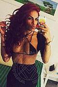 Udine Trans Escort Tiffany Lima 329 56 69 424 foto selfie 8