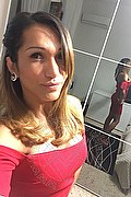 Lucca Trans Escort Camilla 338 59 21 893 foto selfie 56