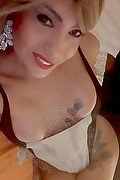 Padova Trans Escort Izabelli Frazao Pornostar 327 66 19 130 foto selfie 32