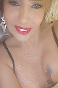 Padova Trans Escort Izabelli Frazao Pornostar 327 66 19 130 foto selfie 30