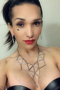 Lucca Trans Escort Camilla 338 59 21 893 foto selfie 23