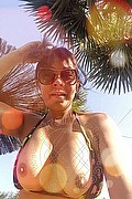 Faenza Trans Vanessa 347 54 51 376 foto selfie 47