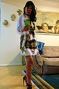 Faenza Trans Vanessa 347 54 51 376 foto selfie 62