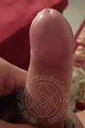 Faenza Trans Vanessa 347 54 51 376 foto selfie 68
