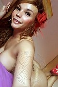 Conegliano Trans Angelica Pornostar 347 48 58 254 foto selfie 45