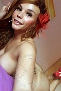 Conegliano Trans Escort Angelica Pornostar 347 48 58 254 foto selfie 42