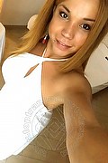 Conegliano Trans Escort Angelica Pornostar 347 48 58 254 foto selfie 52