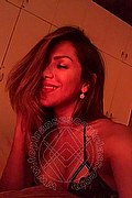 Varese Trans Escort Adri 333 94 79 209 foto selfie 1