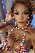 Milano Trans Wanessa Armani 351 80 69 231 foto selfie 35