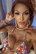 Vigonza Trans Wanessa Armani 379 22 49 468 foto selfie 29