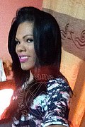 Milano Trans Priscilla 324 60 45 585 foto selfie 29