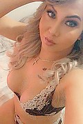 Viareggio Trans Dafne Pornostar 380 14 22 205 foto selfie 35