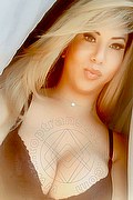 Viareggio Trans Dafne Pornostar 380 14 22 205 foto selfie 81