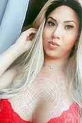 Viareggio Trans Dafne Pornostar 380 14 22 205 foto selfie 77
