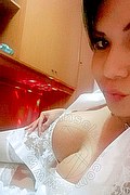 Viareggio Trans Dafne Pornostar 380 14 22 205 foto selfie 88