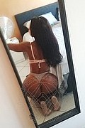 Teresina Trans Escort Morena Cajuina  005586994215905 foto selfie 16