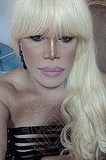 Milano Trans Escort Nicole Vip Venturiny 353 35 38 868 foto selfie 660