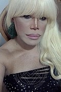 Milano Trans Escort Nicole Vip Venturiny 353 35 38 868 foto selfie 649