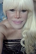 Milano Trans Escort Nicole Vip Venturiny 353 35 38 868 foto selfie 648