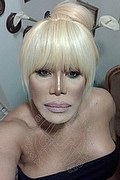 Milano Trans Escort Nicole Vip Venturiny 353 35 38 868 foto selfie 630