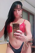 Lodi Trans Yara 334 27 00 693 foto selfie 24