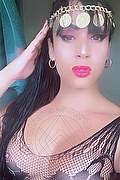 Montecatini Terme Trans Escort Yaraa 334 92 81 596 foto selfie 34