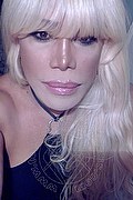 Milano Trans Escort Nicole Vip Venturiny 353 35 38 868 foto selfie 615